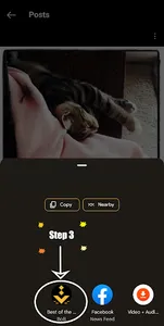 BOTB Media Downloader & Player screenshot 4