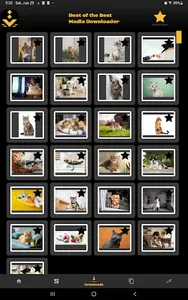 BOTB Media Downloader & Player screenshot 9