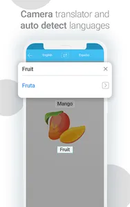 iTranslator - Camera & Voice screenshot 14