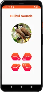 Bulbul Sounds screenshot 1