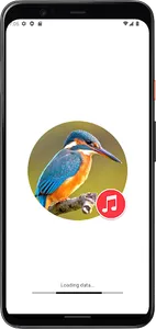 Kingfisher Sounds screenshot 0