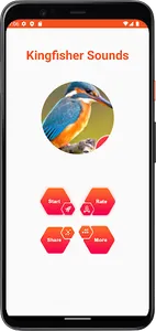 Kingfisher Sounds screenshot 1