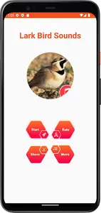 Lark Bird Sounds screenshot 1