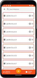 Lark Bird Sounds screenshot 2