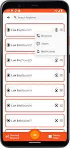 Lark Bird Sounds screenshot 3