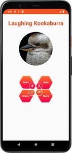 laughing kookaburra Sounds screenshot 1