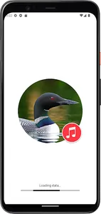 Loon Sounds screenshot 0