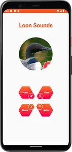 Loon Sounds screenshot 1