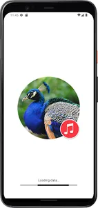 Peacock Sounds screenshot 0