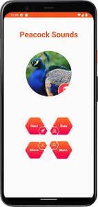 Peacock Sounds screenshot 1