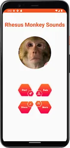 Rhesus Monkey Sounds screenshot 1