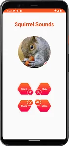 Squirrel Sounds screenshot 1