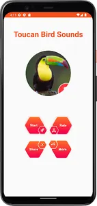 Toucan Bird Sounds screenshot 1