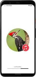 Woodpecker Bird Sounds screenshot 0