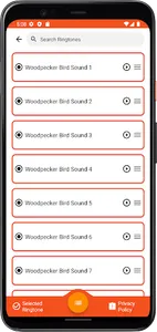 Woodpecker Bird Sounds screenshot 2