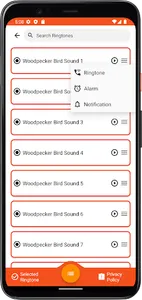 Woodpecker Bird Sounds screenshot 3