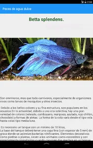 Guía de peces de acuarios screenshot 15