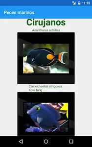 Guía de peces de acuarios screenshot 8