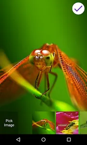 Insects Lock Screen screenshot 0