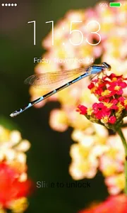Insects Lock Screen screenshot 3