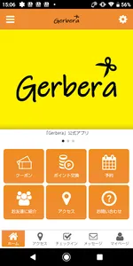 hair space Gerbera screenshot 0