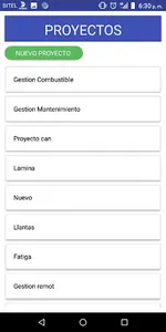 Proyectos screenshot 3