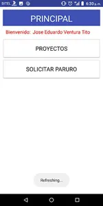 Proyectos screenshot 6