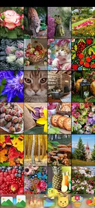 Jigsaw Puzzles screenshot 1