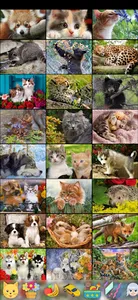 Jigsaw Puzzles screenshot 4