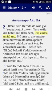 Nkonya New Testament screenshot 0
