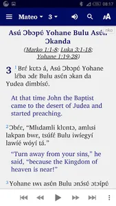 Nkonya New Testament screenshot 5