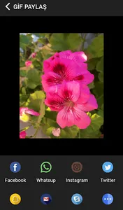 GifYap screenshot 9