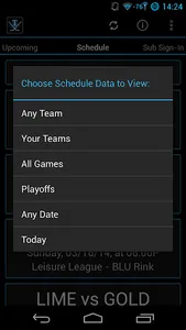 Twin Rinks Adult Hockey screenshot 1