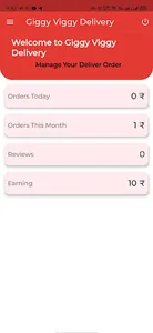Giggy Viggy Delivery screenshot 5