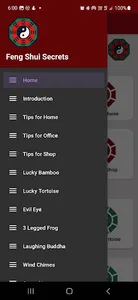 Feng Shui Secrets screenshot 1
