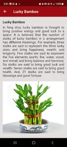 Feng Shui Secrets screenshot 4