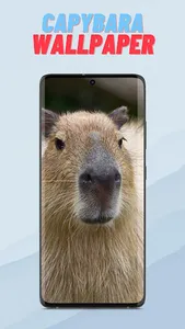 Capybara Wallpaper HD screenshot 1