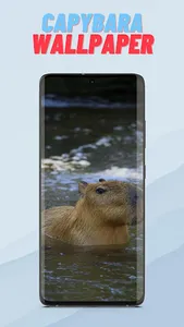 Capybara Wallpaper HD screenshot 2