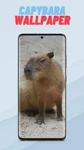 Capybara Wallpaper HD screenshot 3