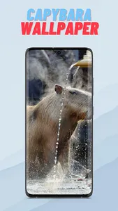 Capybara Wallpaper HD screenshot 4