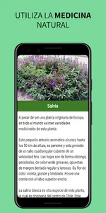 Medicinal Plants and Remedies screenshot 18