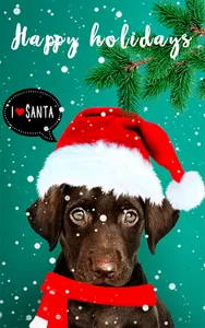 Christmas photo editor screenshot 1