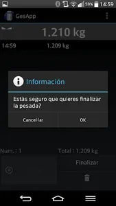 GesApp screenshot 4