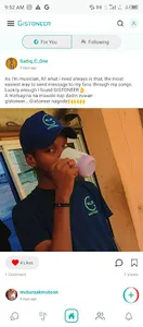 Gistoneer screenshot 2