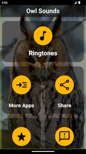 Owl Ringtones screenshot 8