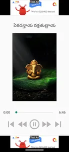 Sri Ganesha Songs screenshot 4