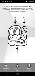 Glifos Mayas screenshot 8