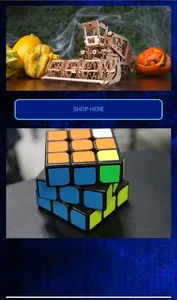 Creative 3D Puzzle and Bricks screenshot 5