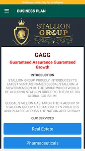 Global Stallion screenshot 2