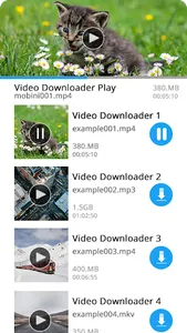 AllVid - Video Downloader screenshot 4